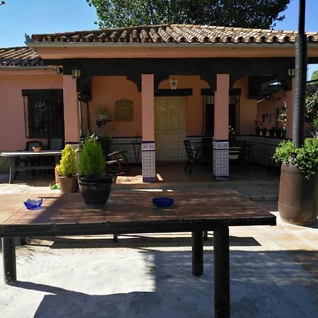 Casa Rural Las Palmeras Ronda Exteriér fotografie