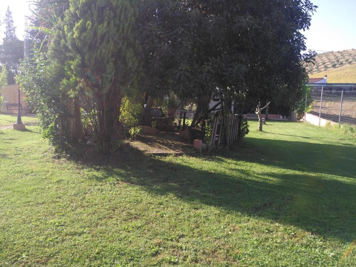 Casa Rural Las Palmeras Ronda Exteriér fotografie