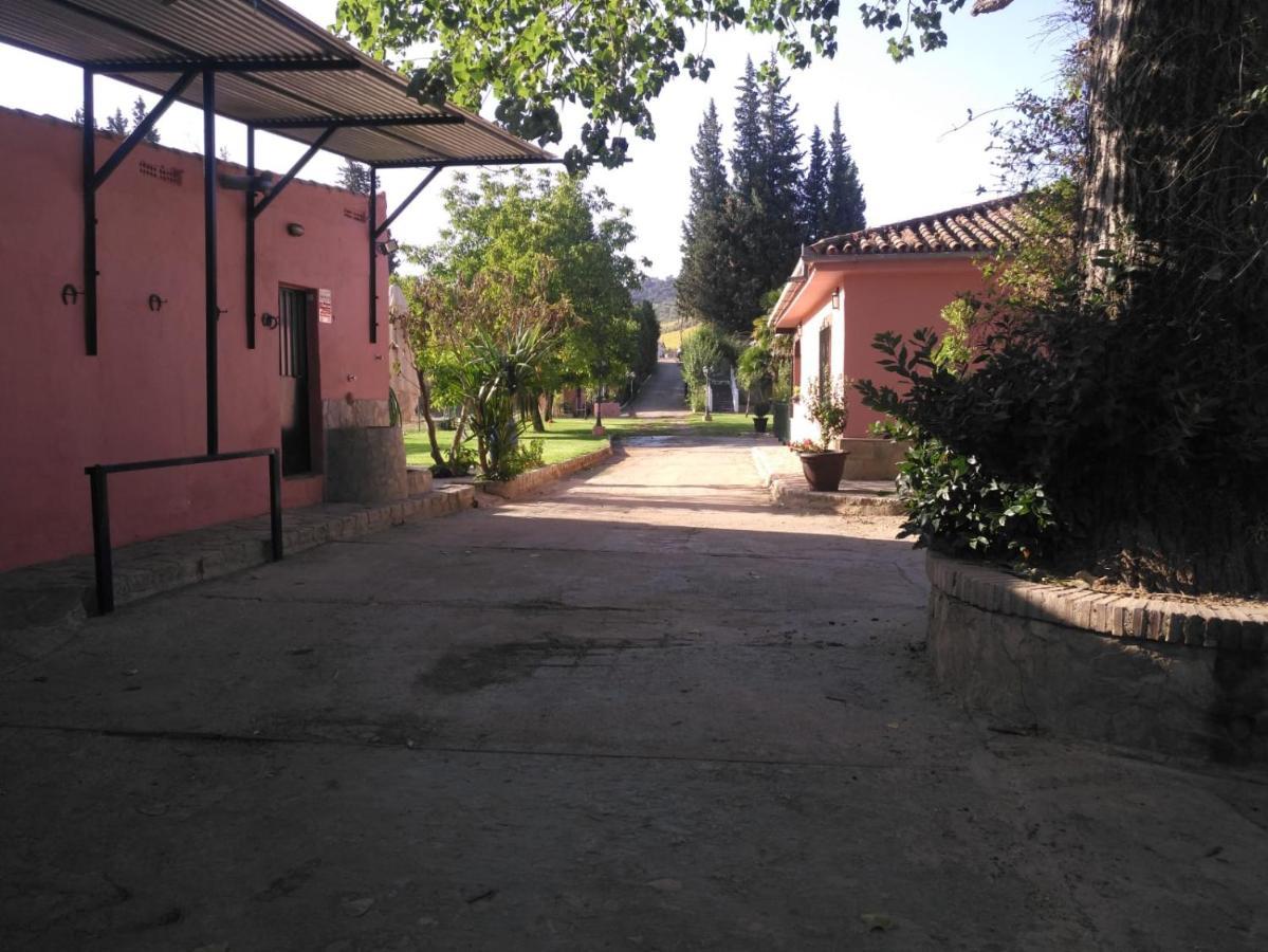 Casa Rural Las Palmeras Ronda Exteriér fotografie