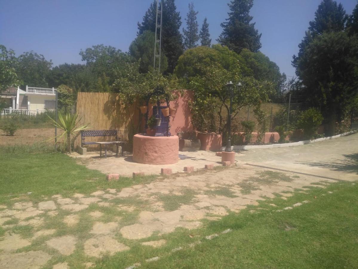Casa Rural Las Palmeras Ronda Exteriér fotografie