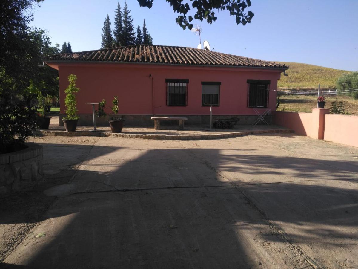 Casa Rural Las Palmeras Ronda Exteriér fotografie