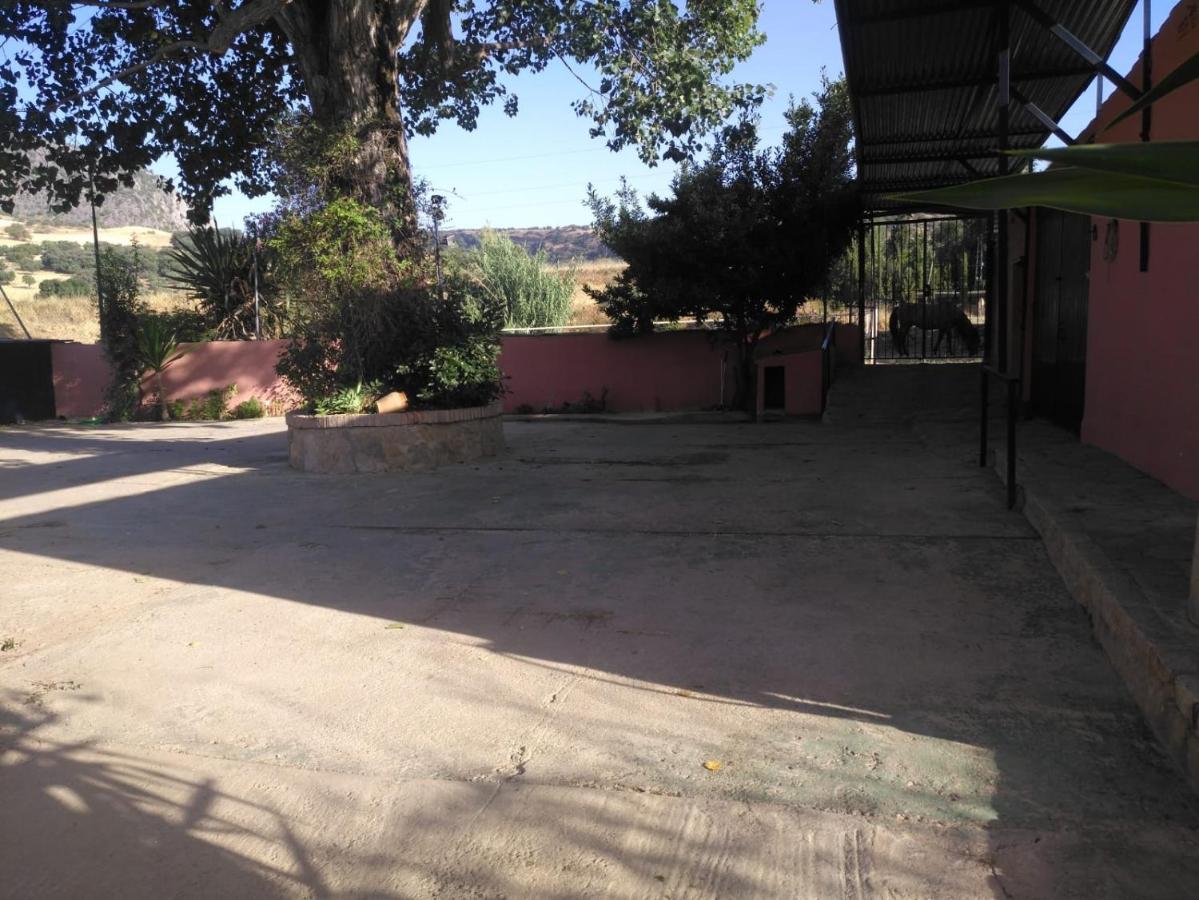 Casa Rural Las Palmeras Ronda Exteriér fotografie